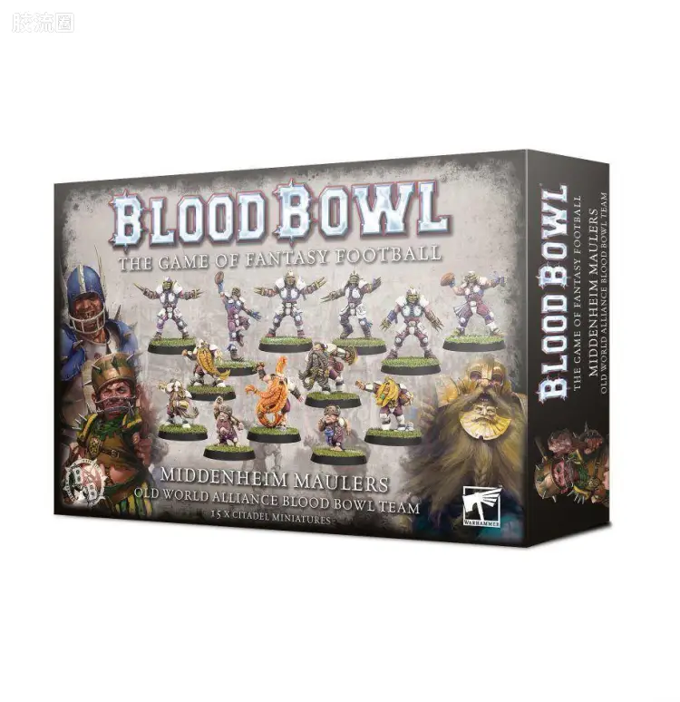 血碗橄榄球 Blood Bowl 普通版 旧世界联盟队