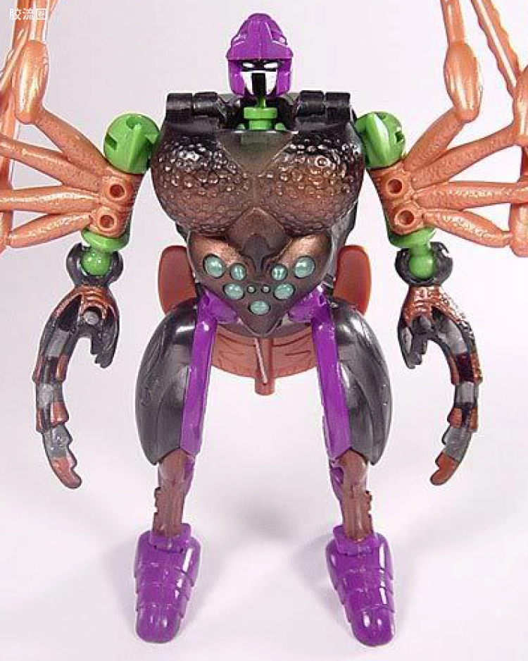 毒蜘蛛 Blackarachnia