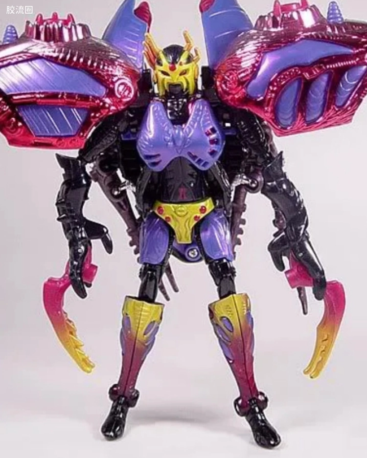 毒蜘蛛 Blackarachnia