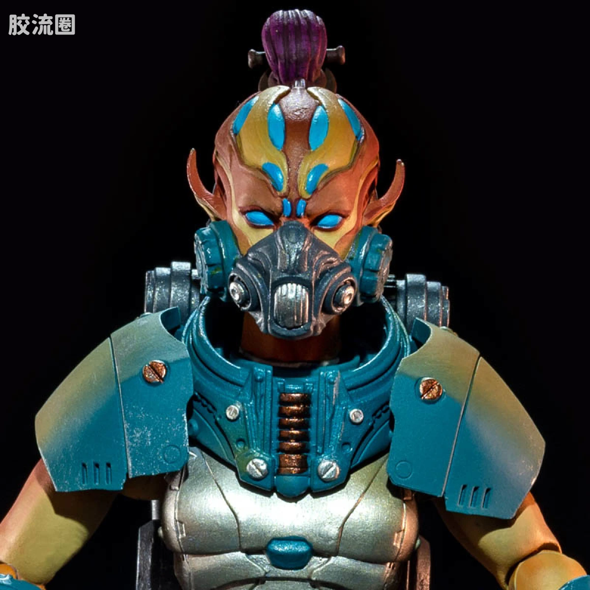沃尔伽