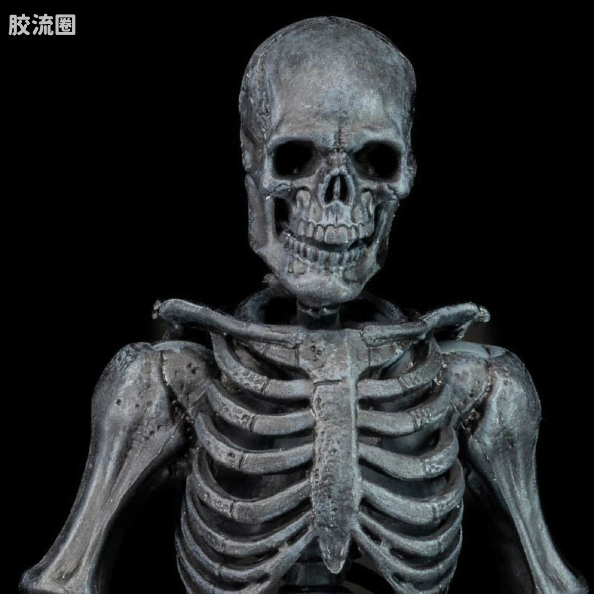 灰烬骷髅