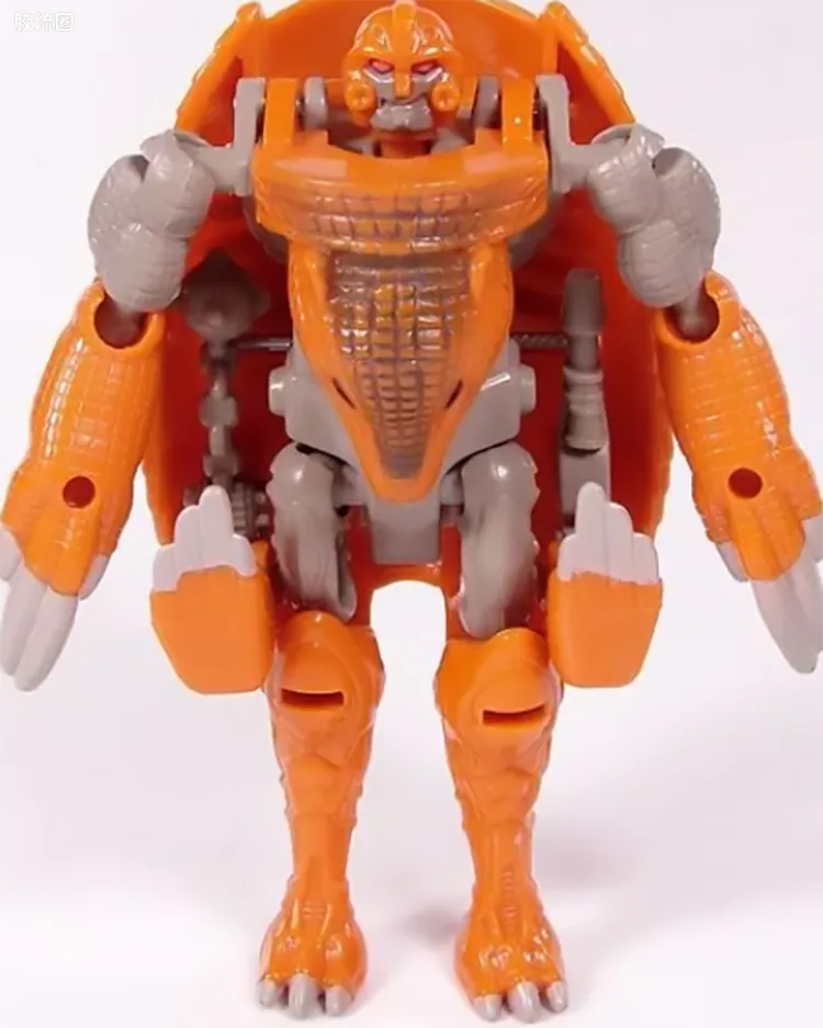 犰狳 Armordillo