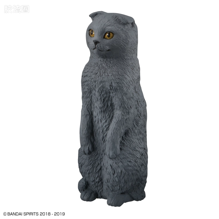 万代综合拼装模型系列 猫猫武装 猫武装3 中盛 - 图片