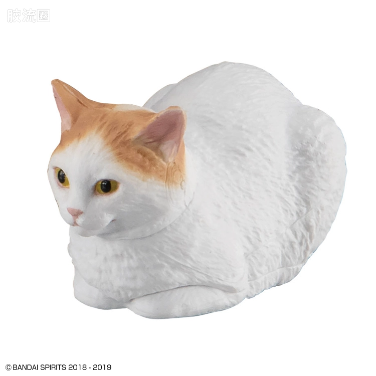 万代综合拼装模型系列 猫猫武装 猫武装3 中盛 - 图片