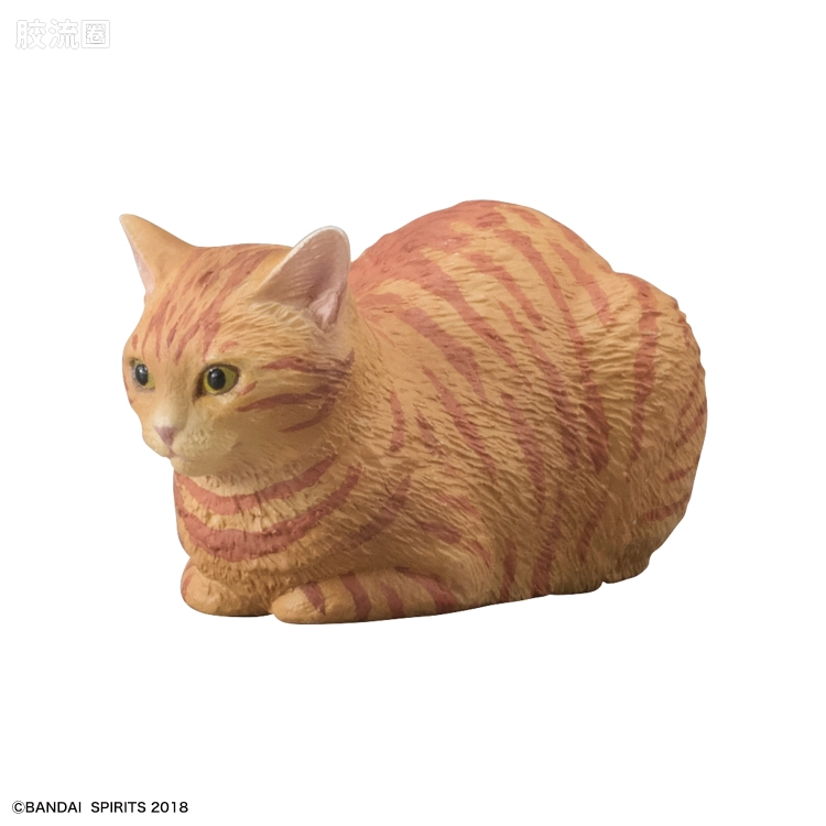 万代综合拼装模型系列 猫猫武装 猫武装第一弹 NAMIMORI - 图片