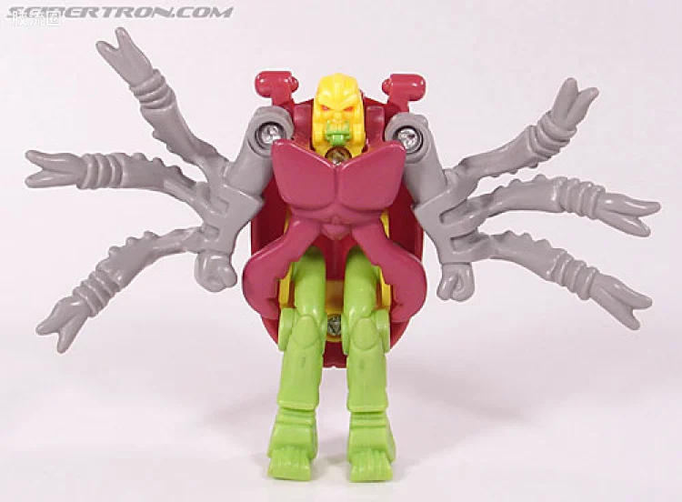 甲虫 Beetle
