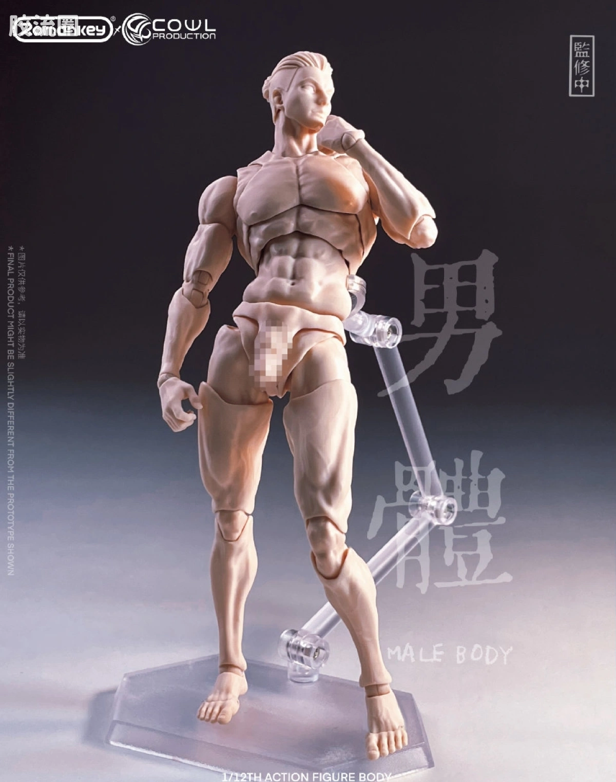 男体 （白/黄/棕）
