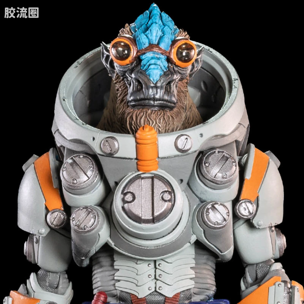 科格