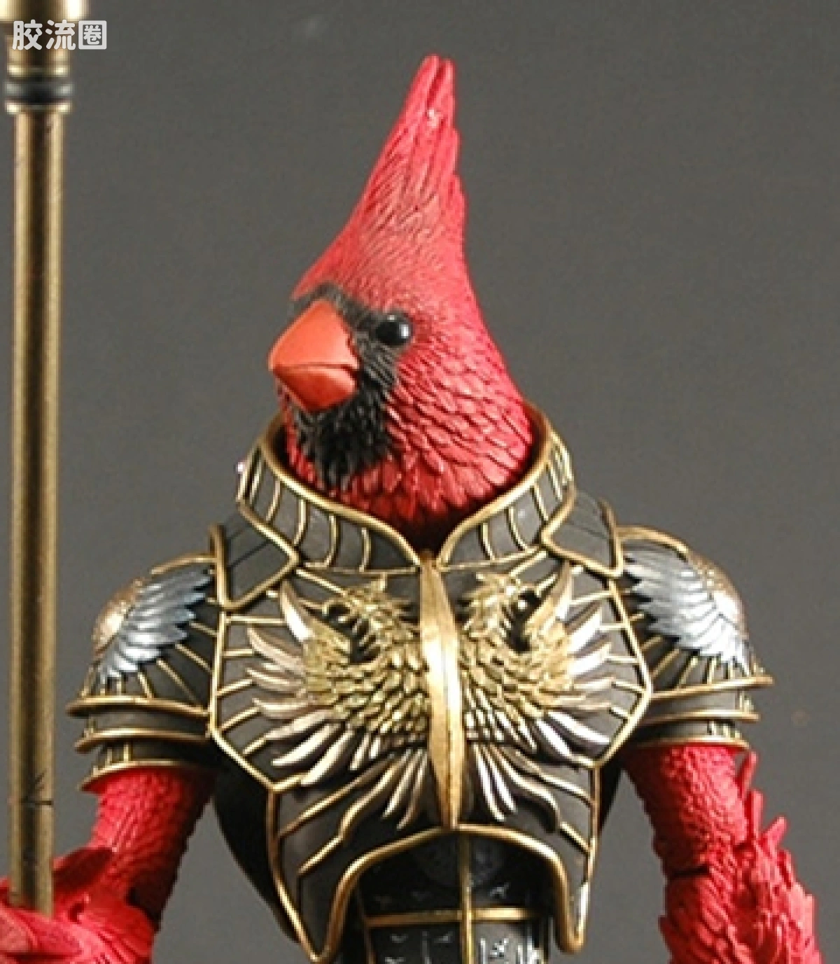 红衣主教 卡迪努斯