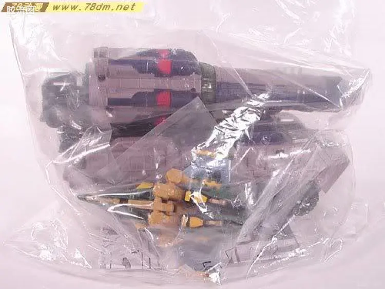 变形金刚 BOTCON & TCC 限定玩具 BOTCON2006 纪念品 BW威震天&黄蜂勇士