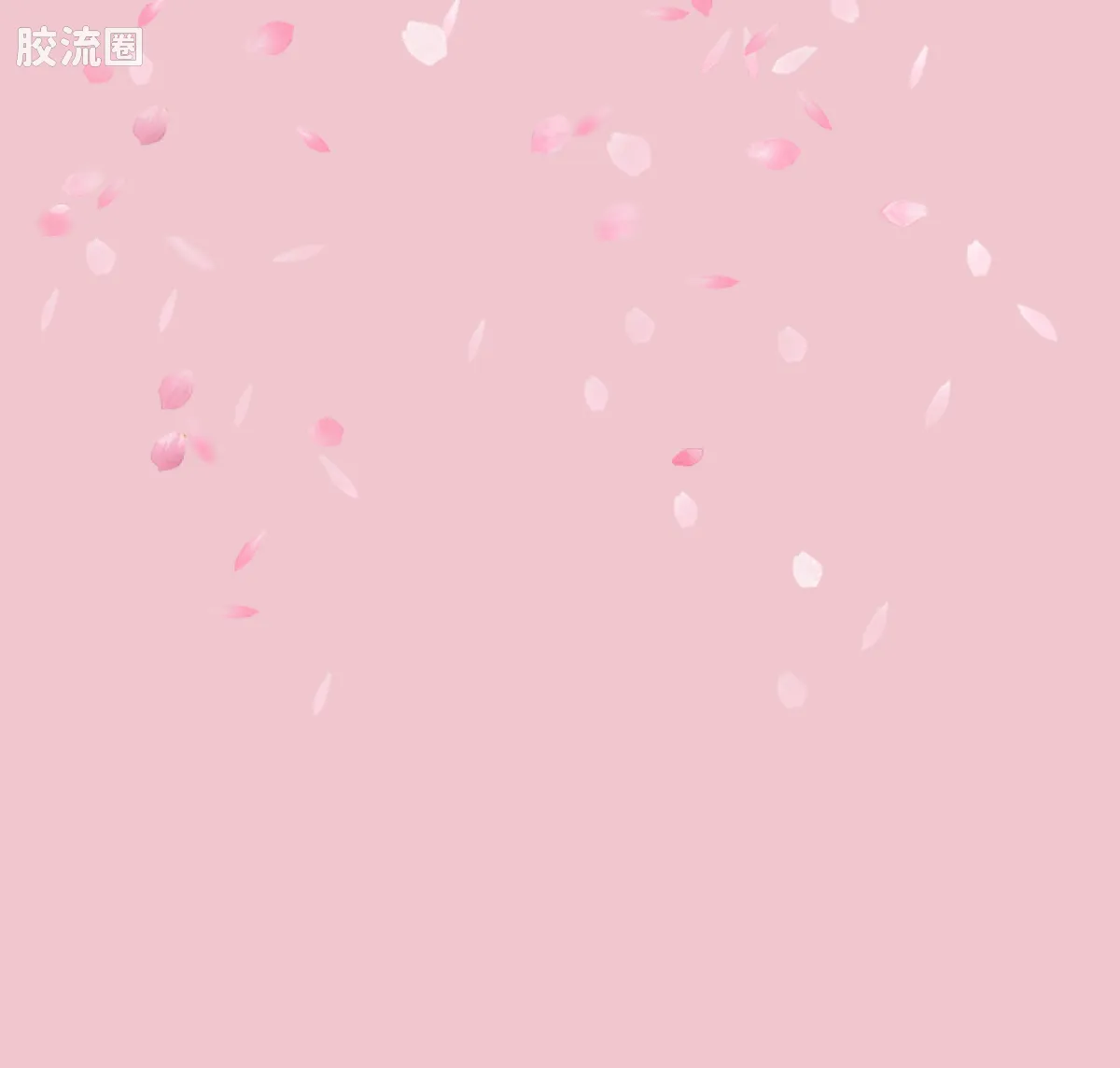 初音未来 奇迹 绮遇记 樱花未来 - 图片