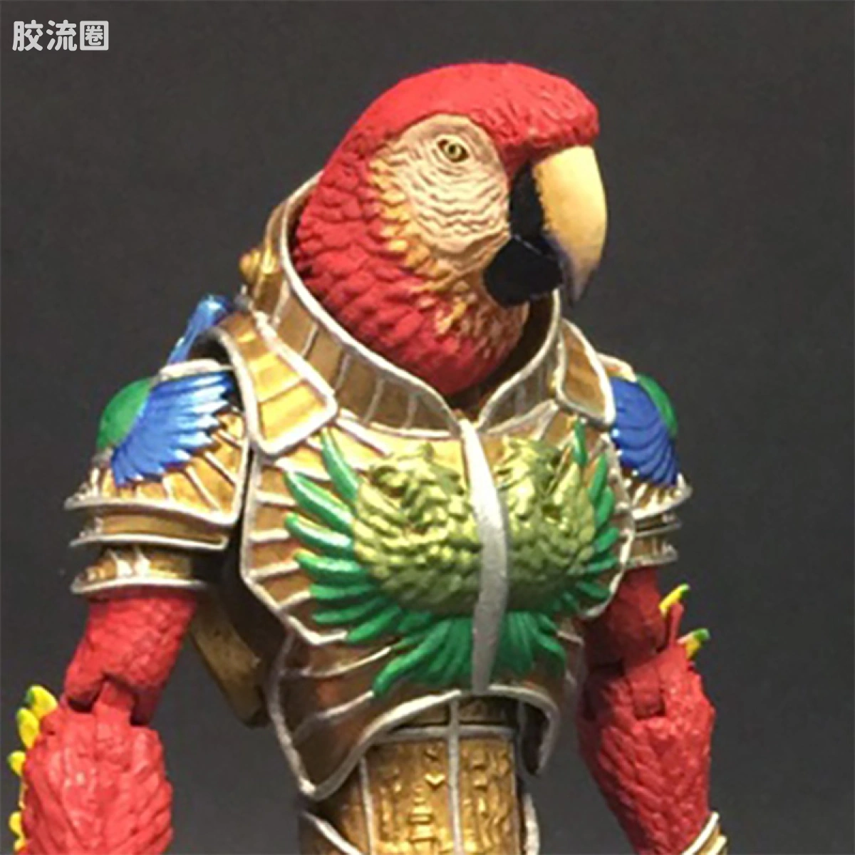 绯红金刚鹦鹉