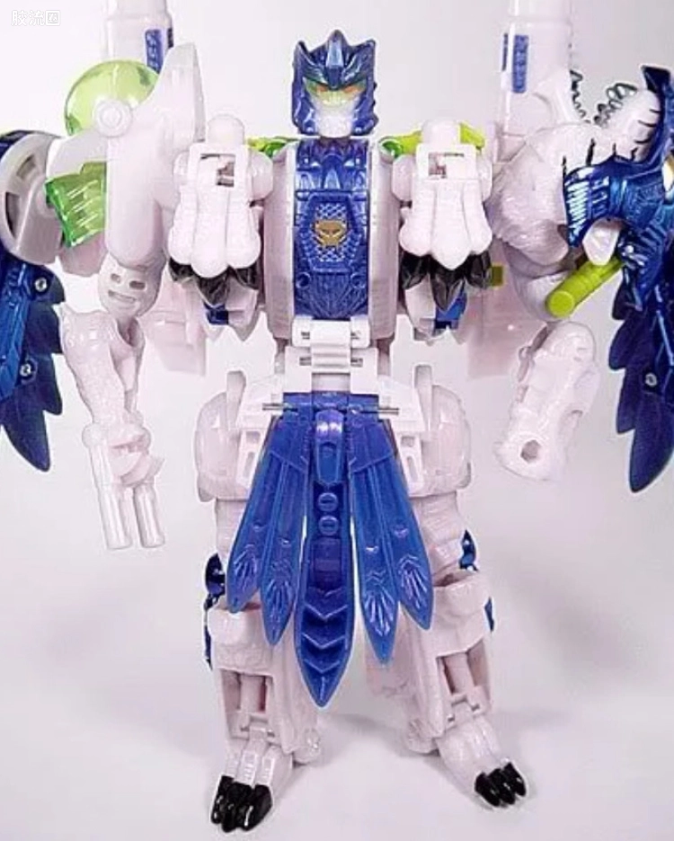 虎鹰 Tigerhawk