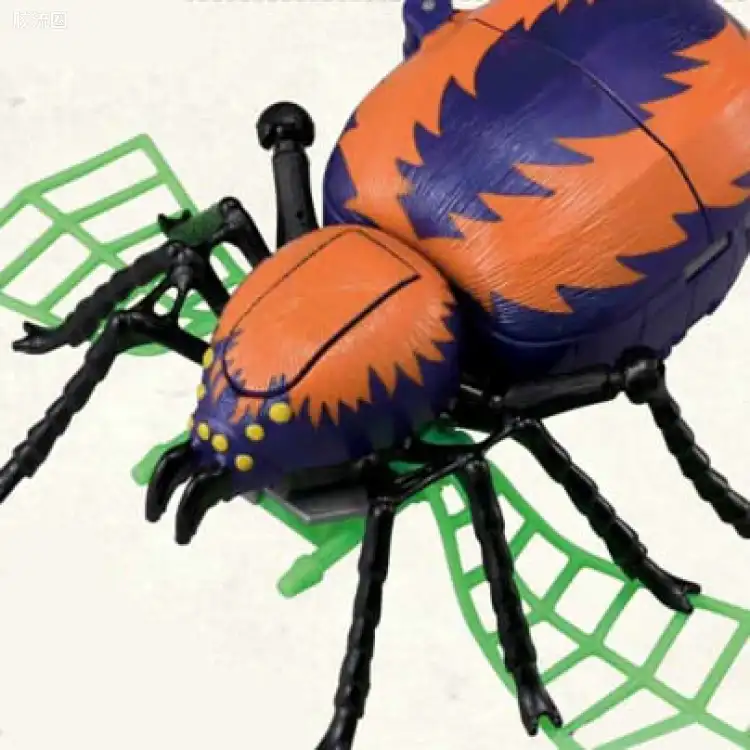 蜘蛛 Arachnid