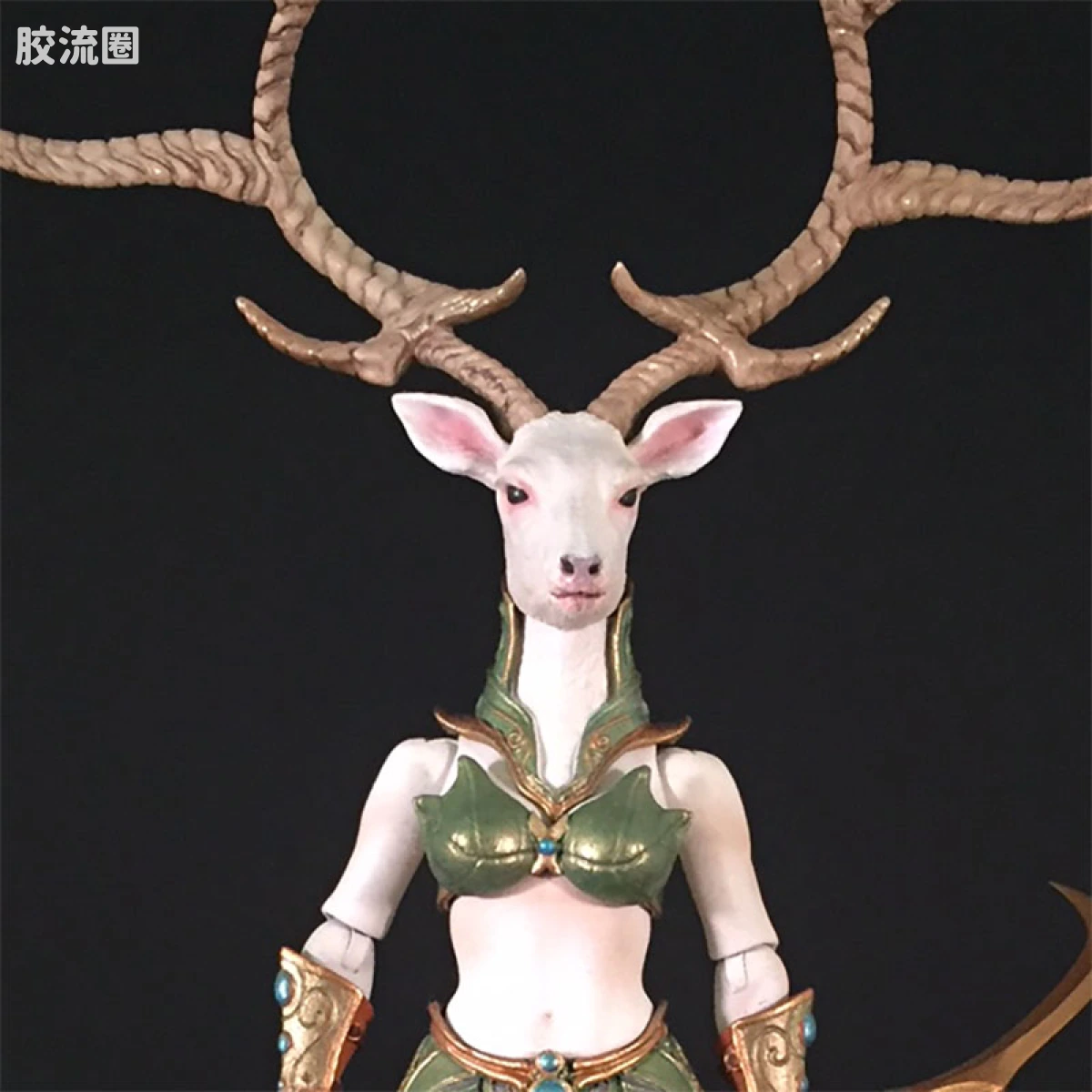 赛洛娜