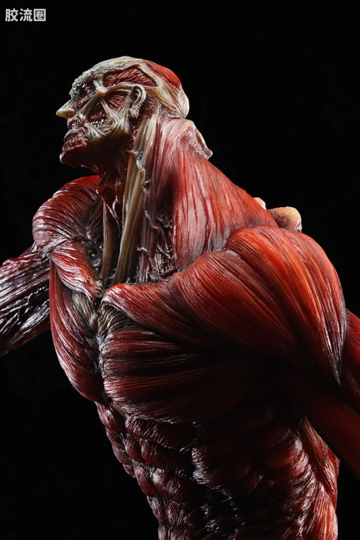 GSC 手办 WONDERFUL HOBBY SELECTION 超大型巨人 TAKAYUKI TAKEYA Ver. - 图片