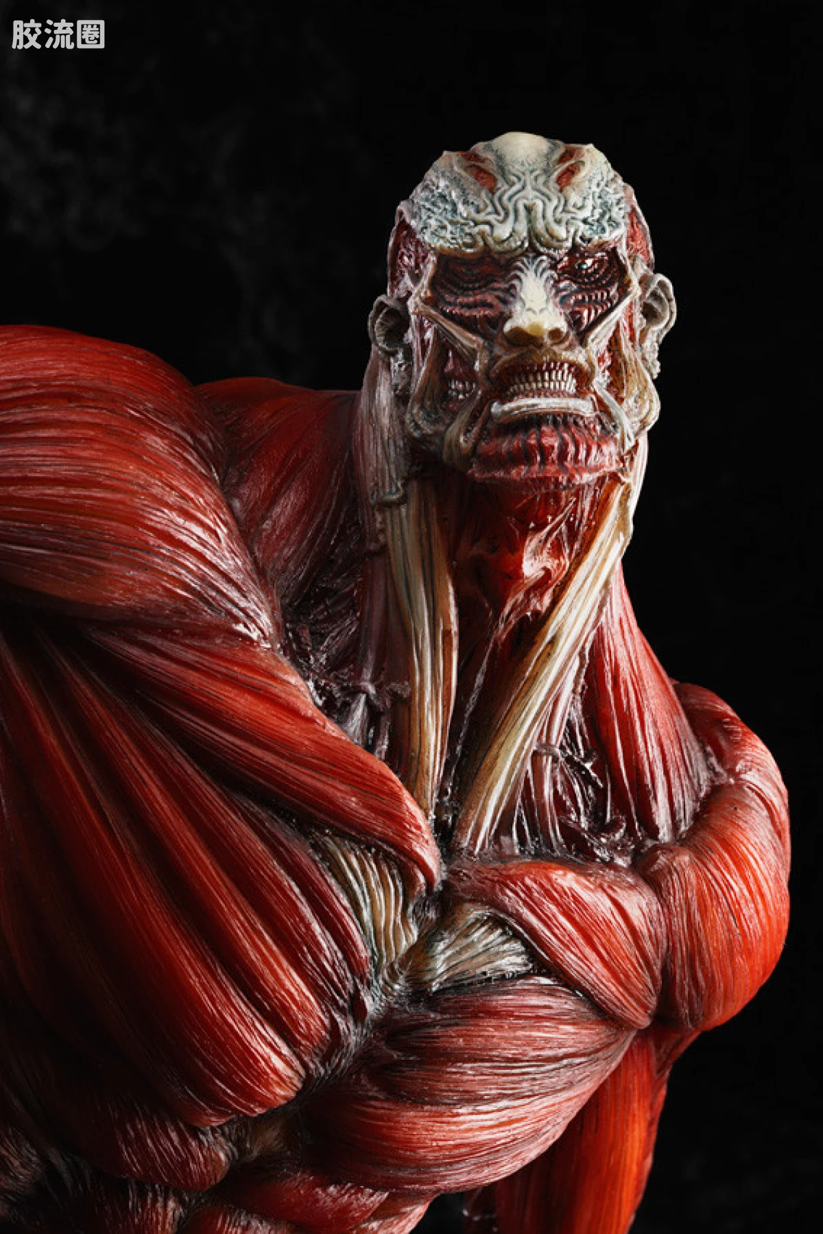 GSC 手办 WONDERFUL HOBBY SELECTION 超大型巨人 TAKAYUKI TAKEYA Ver. - 图片