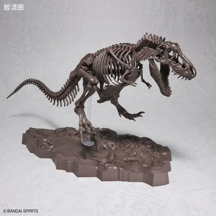 万代综合拼装模型系列 Imaginary Skeleton系列 霸王龙