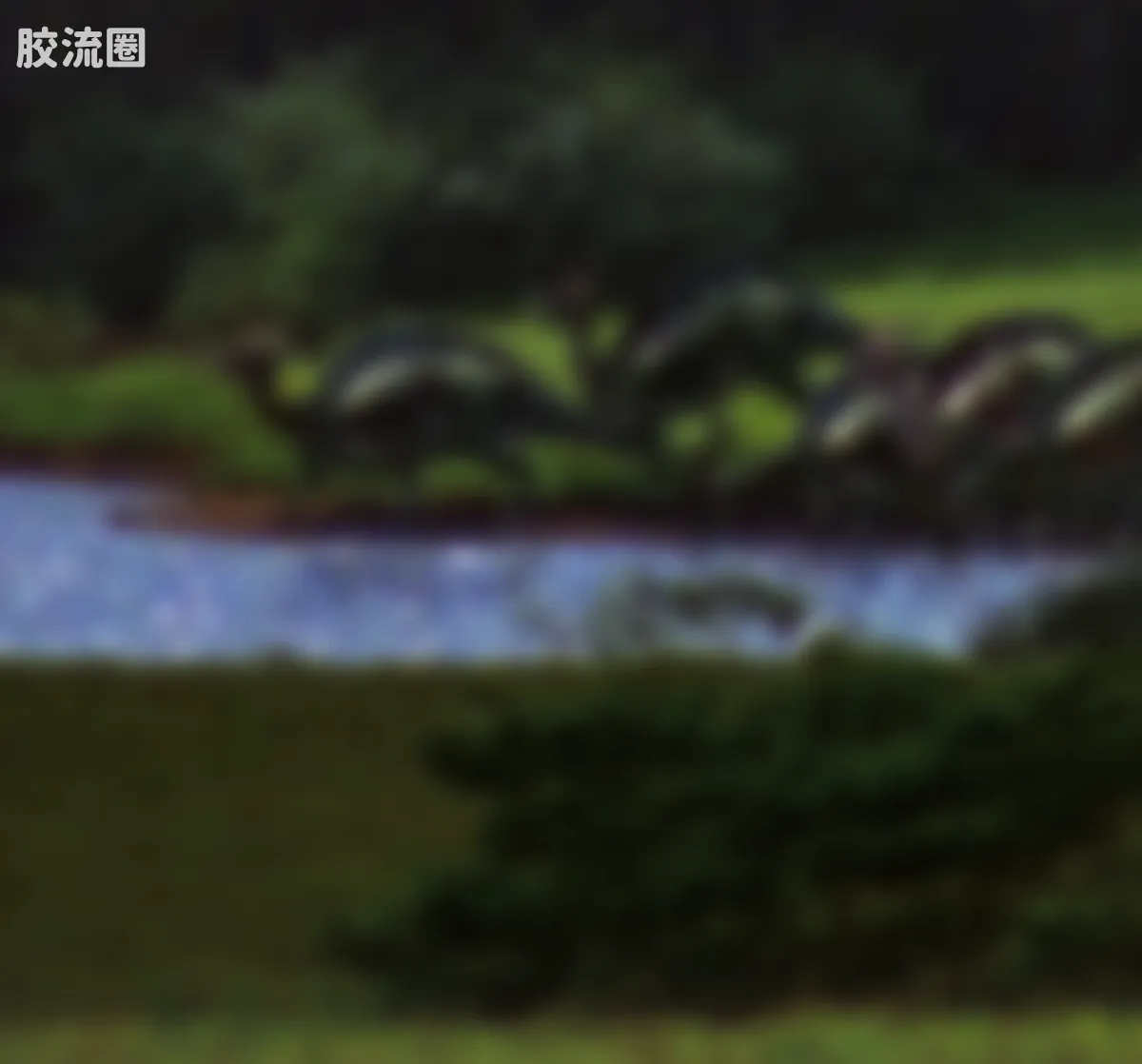 侏罗纪世界 端盒 霸王龙（TC01） - 图片
