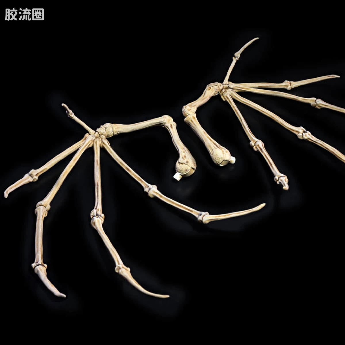 神话军团 全明星6.0 骨翼