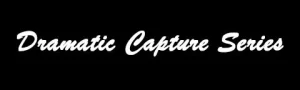 Dramatic Capture Series系列手办