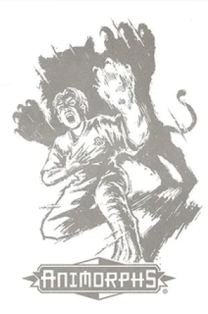 动物变形人 Animorphs系列手办